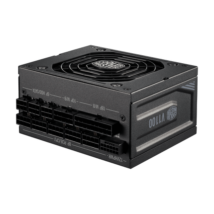 V SFX Platinum 1100W